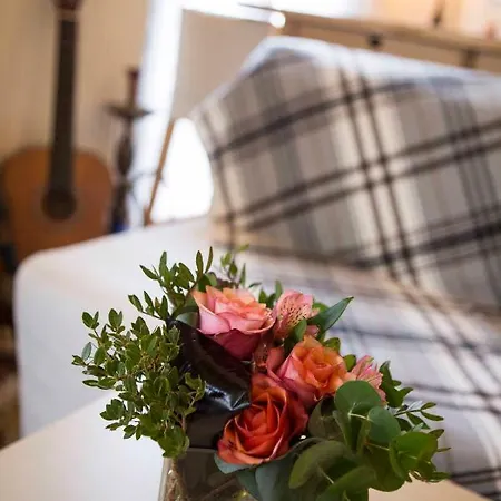 Apartment City Center Studio Cornilia